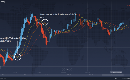 alligator indicator