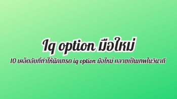 iq option มือใหม่