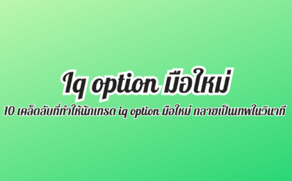 iq option มือใหม่