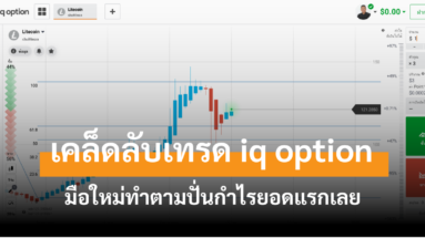 iq option มือใหม่ cover